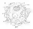 Fig. 03 - DISPENSING VESSEL FOR CLOTHES DRYER