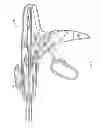 Fig. 09 - Rotating knob locking mechanism for surgical stapling device