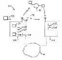 Fig. 01 - Proximity transaction apparatus and methods of use thereof