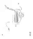 Fig. 53 - Cooler having removable wheel assembly