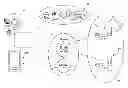 Fig. 01 - INFORMATION MANAGEMENT SYSTEM FOR HOME APPLIANCE