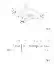 Fig. 02 - Method for localizing an object