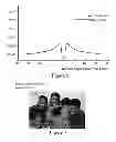 Fig. 06 - Apparatus and Method for Enhancing Human Visual Performance in a Head Worn Video System