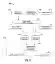 Fig. 07 - Multifunctional conferencing systems and methods