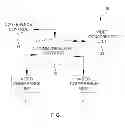 Fig. 02 - SYSTEM AND METHOD FOR MANAGING AVATARSADDRESSING A REMOTE PARTICIPANT IN A VIDEO CONFERENCE