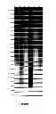 Fig. 06 - Method And Apparatus For Calibrating And Profiling Colored Media Given An Inkset On A Printer Using White Ink And An Apparatus And Automatic Method For Color Separating And Printing On Colored Background Using White Ink