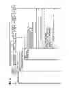 Fig. 06 - IMAGE FORMING APPARATUS, SYSTEM, AND METHOD