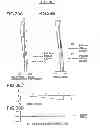 Fig. 40 - Projection lens system and projector