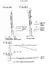 Fig. 53 - Projection lens system and projector