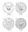 Fig. 06 - Intra-Cell Common Reuse for a Wireless Communication System