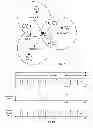Fig. 07 - Intra-Cell Common Reuse for a Wireless Communication System