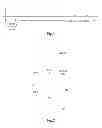 Fig. 02 - Multimedia broadcast multicast service counting method and system