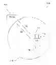 Fig. 01 - Device and method for HSPA WCDMA uplink pilots