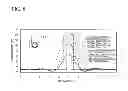 Fig. 09 - TEMPERATURE MEASUREMENT SYSTEM AND TEMPERATURE MEASUREMENT METHOD