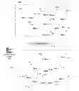 Fig. 01 - Scalable packets in a frequency hopping spread spectrum (FHSS) system