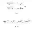Fig. 07 - Scanning method and device, and reverse scanning method and device