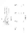 Fig. 08 - Method and apparatus for last coefficient indexing for high efficiency video coding