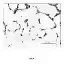 Fig. 02 - isolate from corn