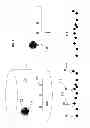 Fig. 07 - Methods and systems for the detection of bacteria