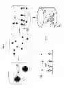Fig. 08 - Methods and systems for the detection of bacteria