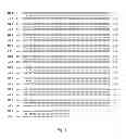Fig. 02 - Recombinant polymerases with increased phototolerance