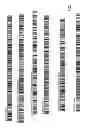 Fig. 02 - Methods of identifying an organism
