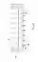 Fig. 22 - Methods and systems for microfluidic DNA sample preparation
