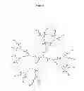 Fig. 04 - System And Method For Generation And Use Of Compact Clonally Amplified Products