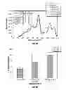 Fig. 08 - Methods for producing extracted and digested products from pretreated lignocellulosic biomass