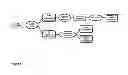 Fig. 06 - Enzymatic hydrolysis of cellulose