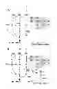 Fig. 02 - Mutant microorganism producing succinic acid simultaneously using sucrose and glycerol, and method for preparing succinic acid using same