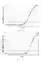 Fig. 43 - PLASMID STANDARD FOR USE IN QUANTITATIVE ASSAYS USING FLUORESCENT QUANTITATIVE PCR