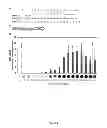 Fig. 06 - MODULAR DNA-BINDING DOMAINS AND METHODS OF USE
