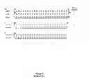 Fig. 08 - MODULAR DNA-BINDING DOMAINS AND METHODS OF USE