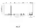 Fig. 40 - MODULAR DNA-BINDING DOMAINS AND METHODS OF USE