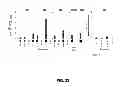 Fig. 41 - MODULAR DNA-BINDING DOMAINS AND METHODS OF USE