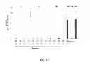 Fig. 43 - MODULAR DNA-BINDING DOMAINS AND METHODS OF USE