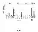 Fig. 46 - MODULAR DNA-BINDING DOMAINS AND METHODS OF USE