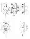 Fig. 02 - Virtual separation of bound and free label in a ligand assay for performing immunoassays of biological fluids, including whole blood
