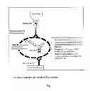 Fig. 02 - DETECTION OF COMPLEXES OF TAU AND AMYLOID