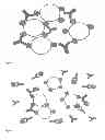Fig. 02 - Competition assay