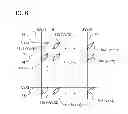 Fig. 07 - Memory element and semiconductor device, and method for manufacturing the same