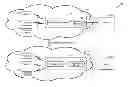 Fig. 01 - Automatic configuration of a wireless device