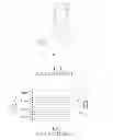 Fig. 02 - Method and apparatus for transmitting and receiving signal in communication system