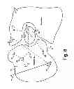 Fig. 09 - Hybrid method for high accuracy and cost-effective prediction of mobile device positions through mobile networks