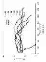 Fig. 07 - Stable slurry bed fischer-tropsch catalyst with high surface area and activity