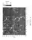Fig. 76 - High density sensor array without wells