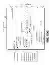 Fig. 45 - ARRAYS AND METHODS COMPRISING M. SMITHII GENE PRODUCTS