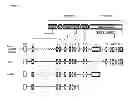 Fig. 03 - Chimeric inhibitor molecules of complement activation