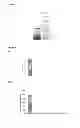 Fig. 03 - Nucleic and amino acid sequences for the control of pathogen agents